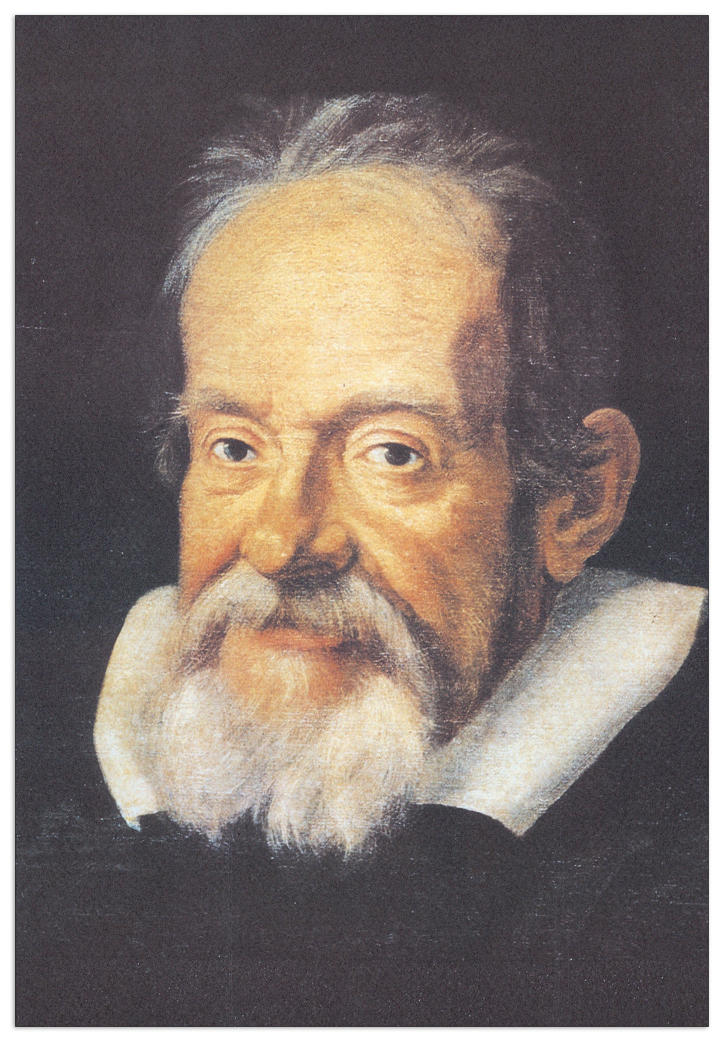 Galileo Galilei cm 23x33