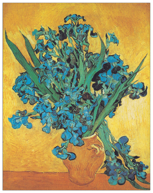 Iris cm 31x39