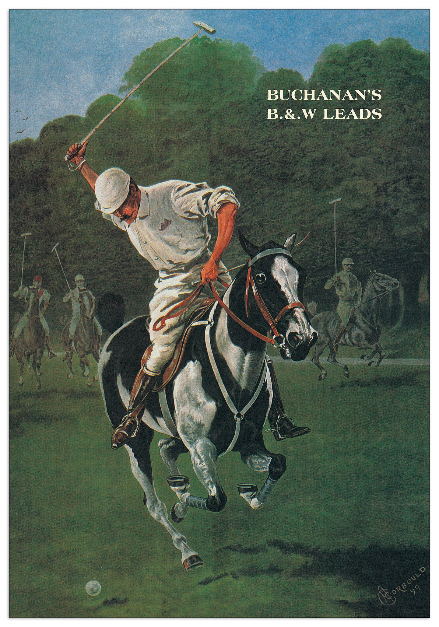 Polo cm 48x68