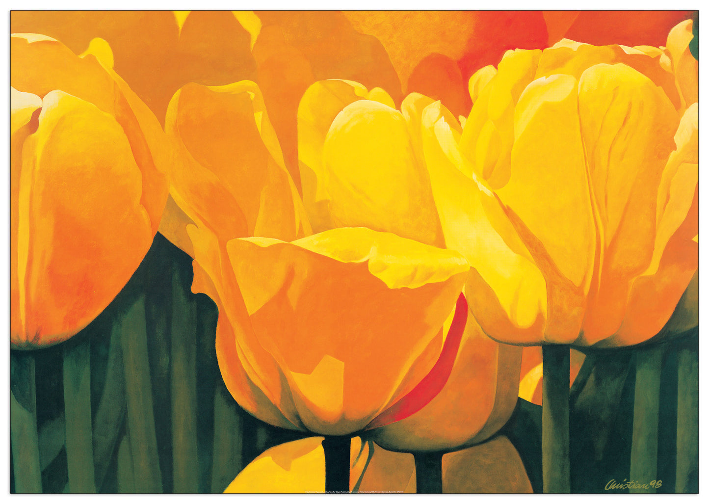 Yellow Time For Tulips cm 100x70
