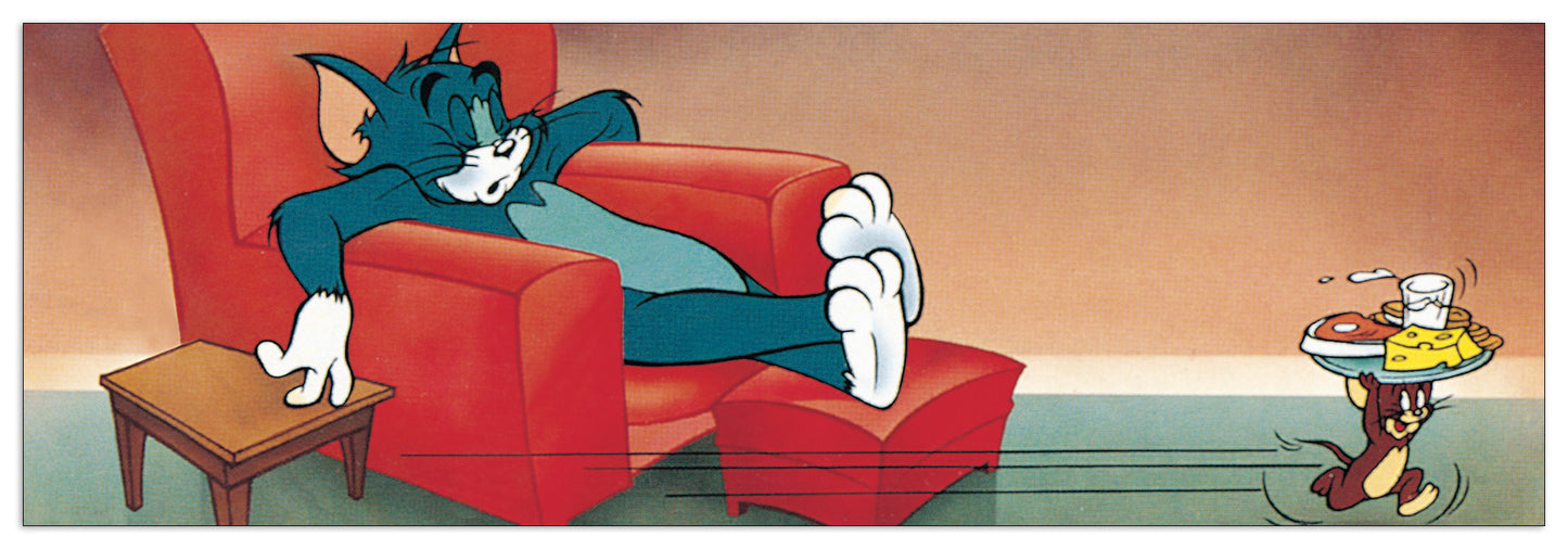 While The Cat Sleeps cm 90x30