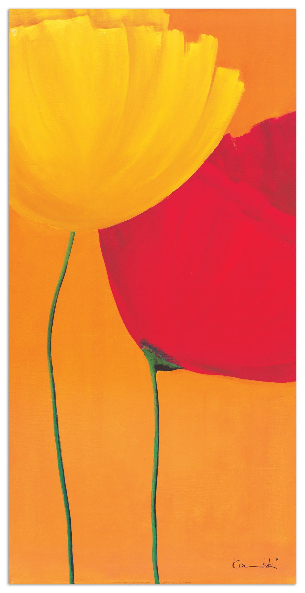 More Blumen Part 2 cm 50x100