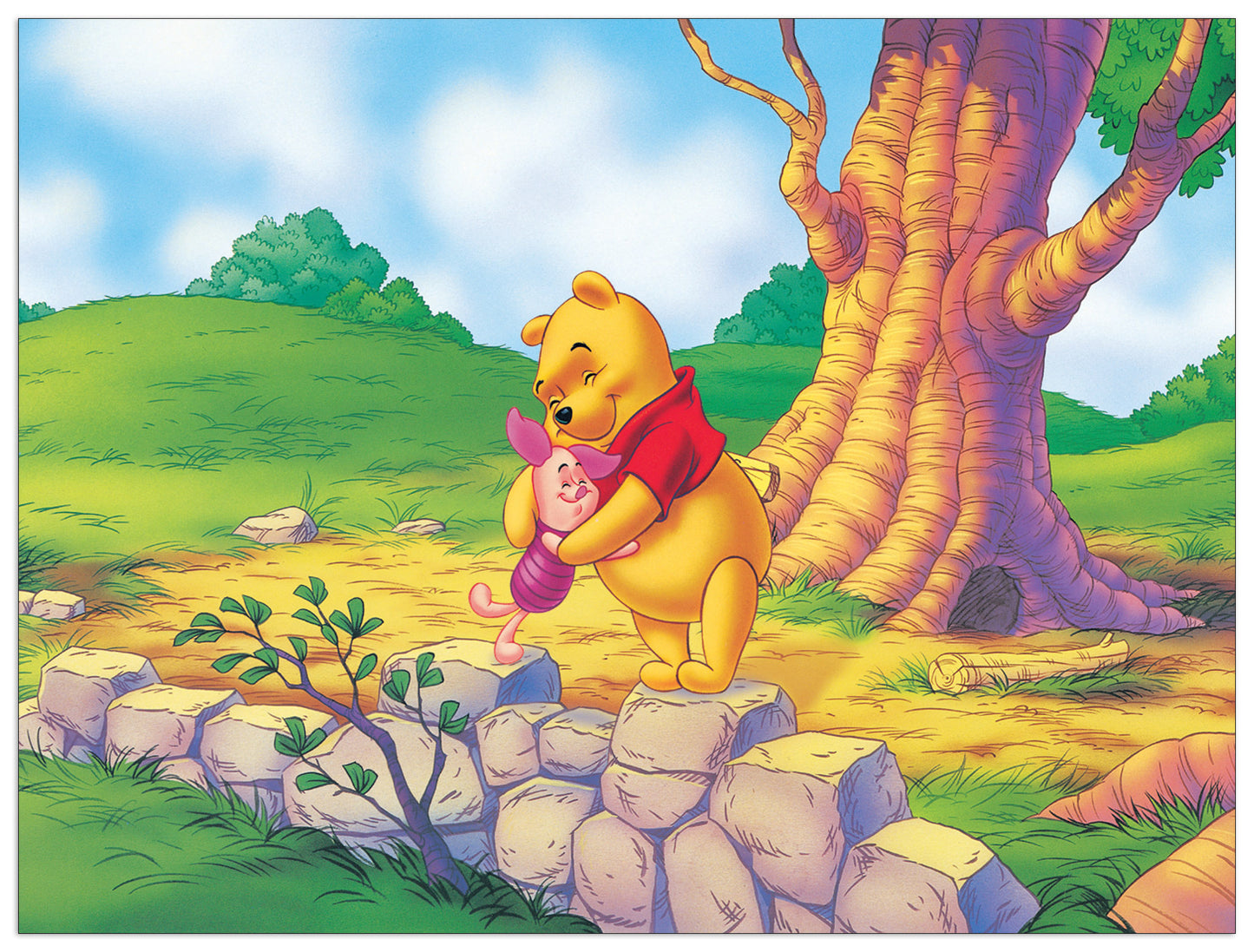 A Hug From Pooh cm 40x30