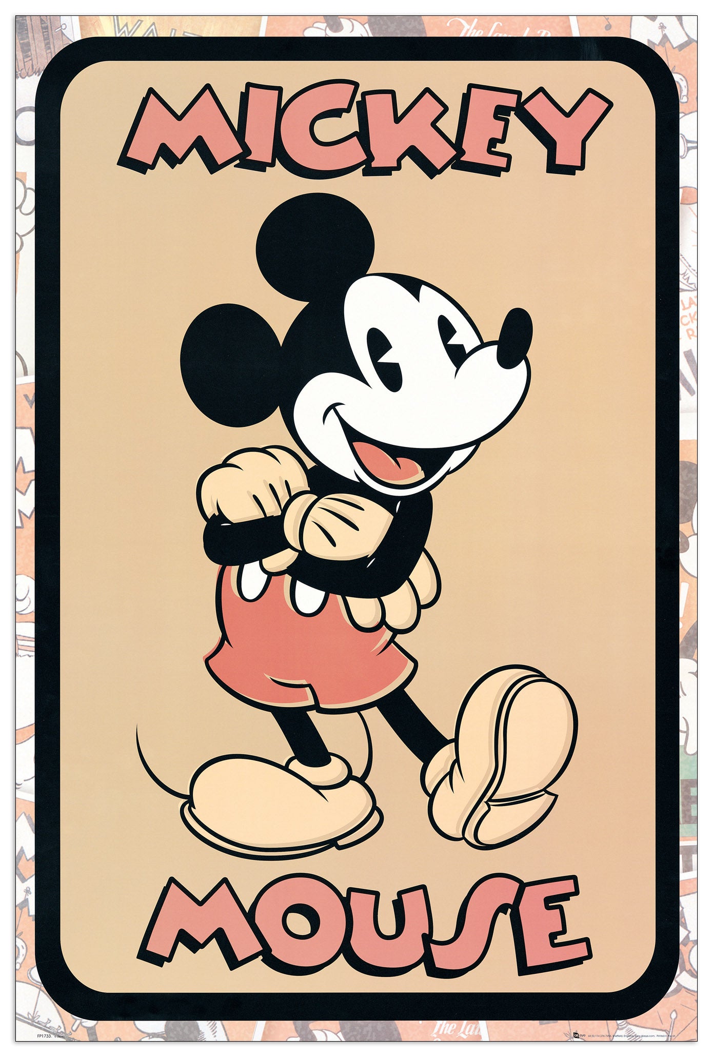 Mickey Mouse cm 60x90