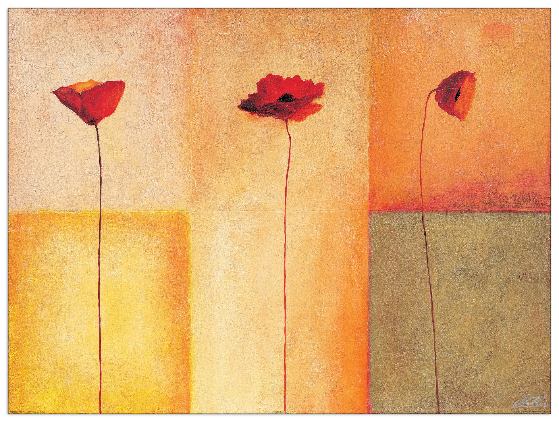 Dreierlei Mohn II cm 80x60
