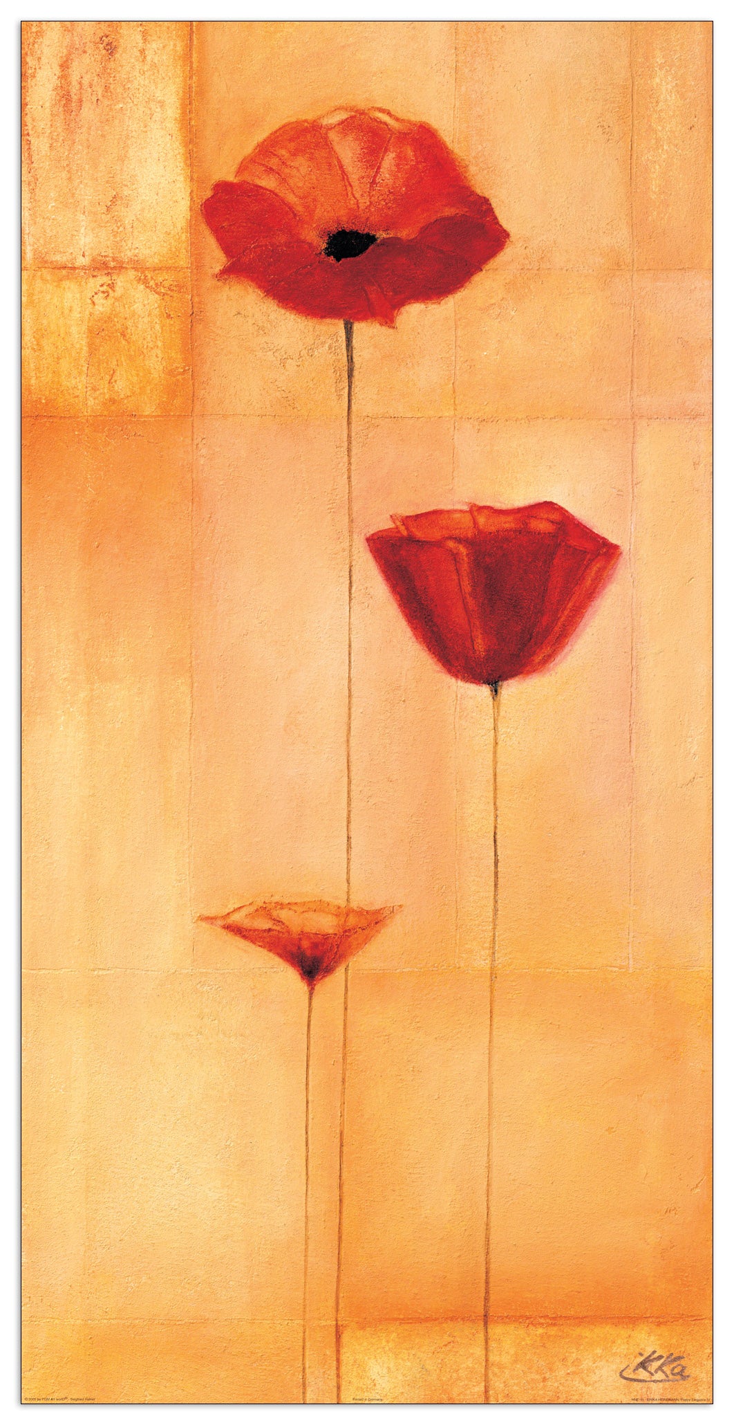 Poppy Elegance IV cm 50x100