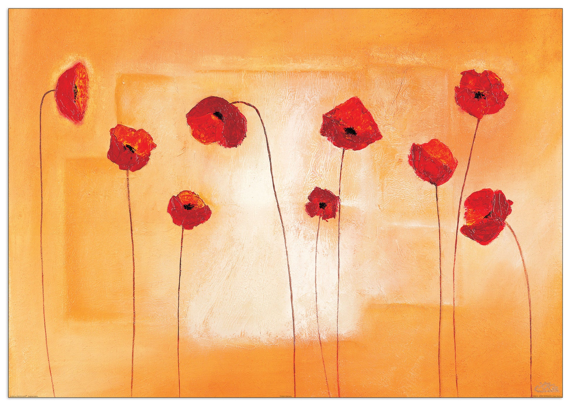 Poppy Meeting cm 100x70