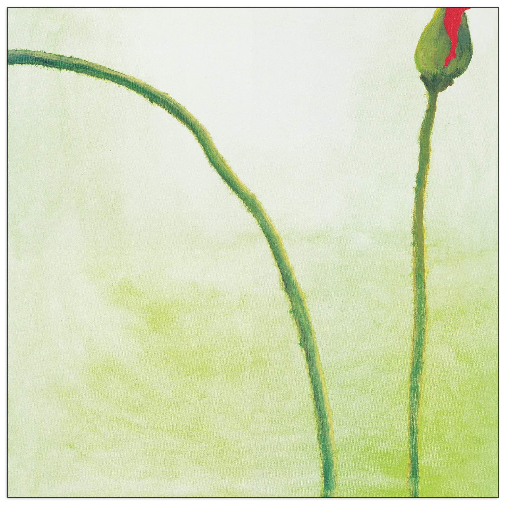 Be Coming II cm 70x70
