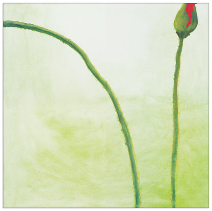 Be Coming II cm 70x70