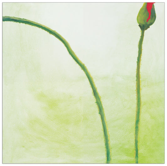 Be Coming II cm 70x70