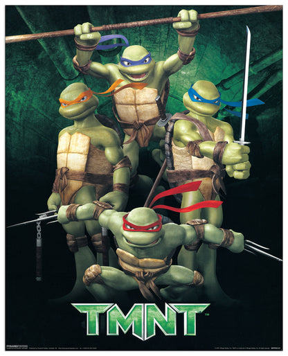 Ninja Turtles cm 40x50