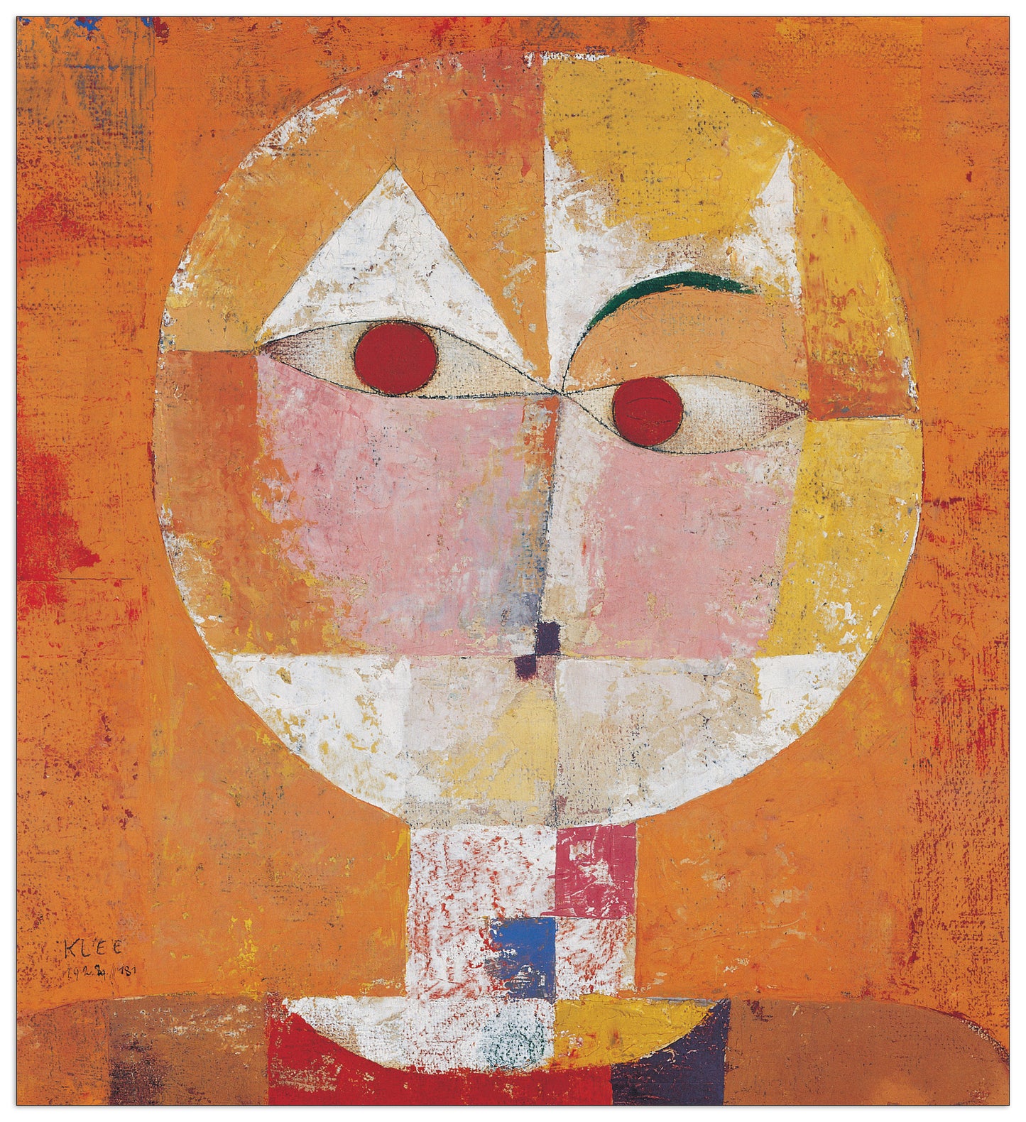 Senecio cm 53x58