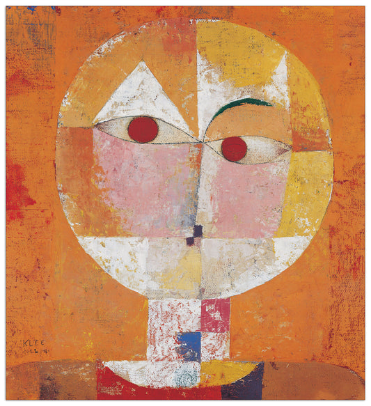 Senecio cm 53x58