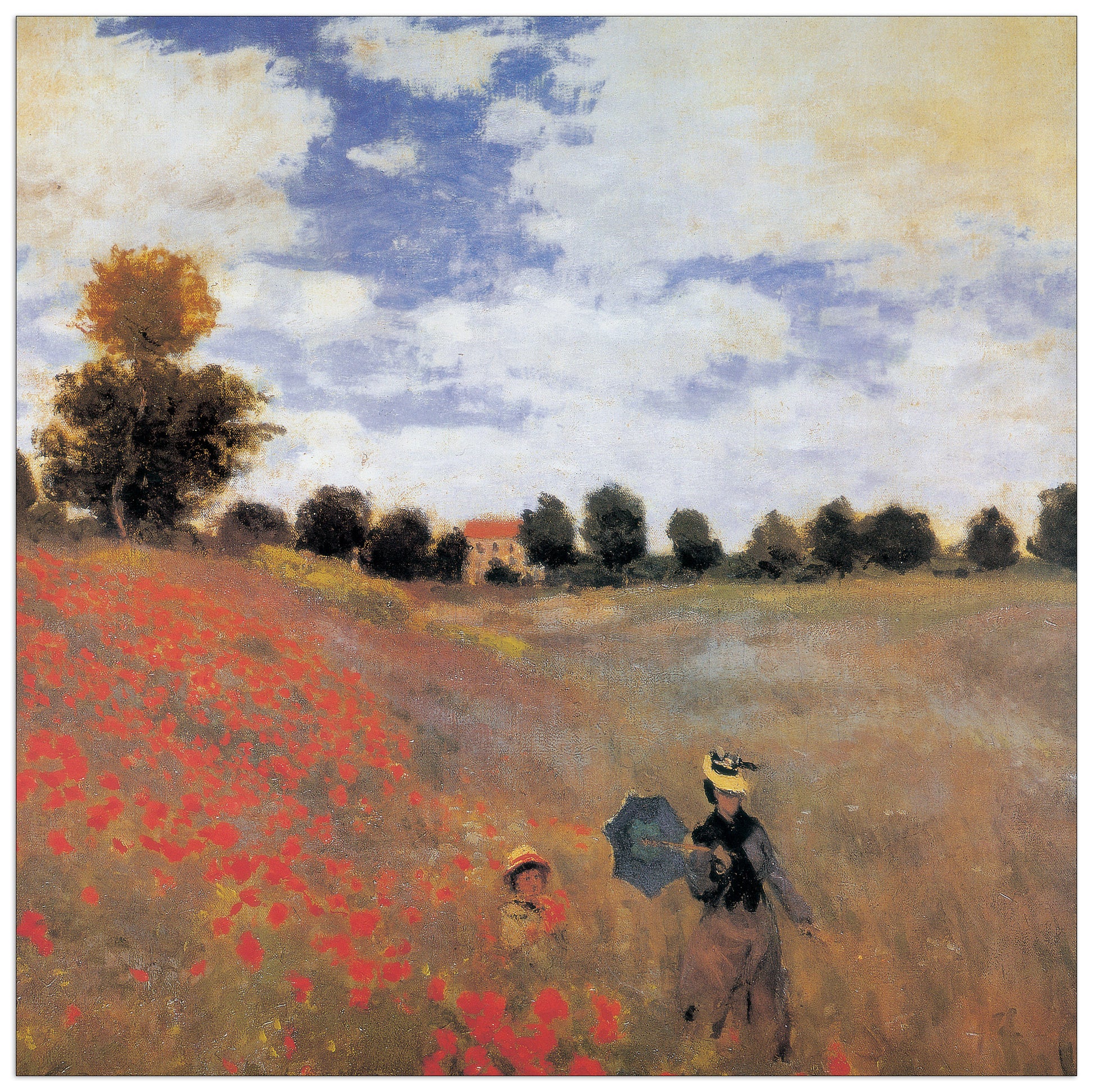 Campo Di Papaveri Detail cm 30x30