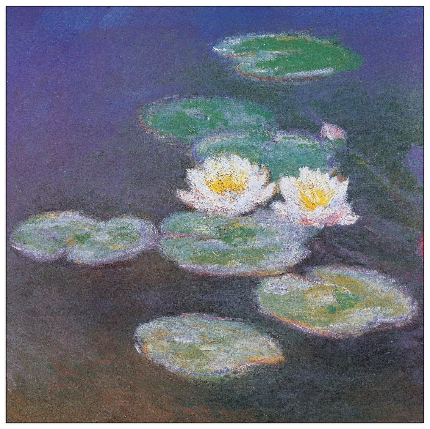Ninfee Detail cm 30x30