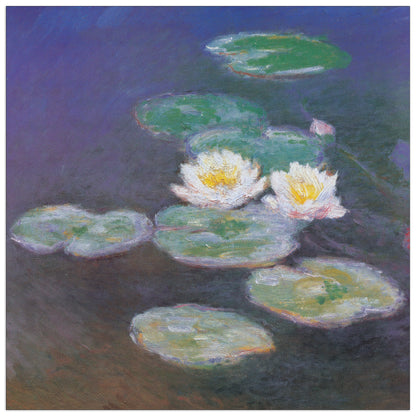 Ninfee Detail cm 30x30