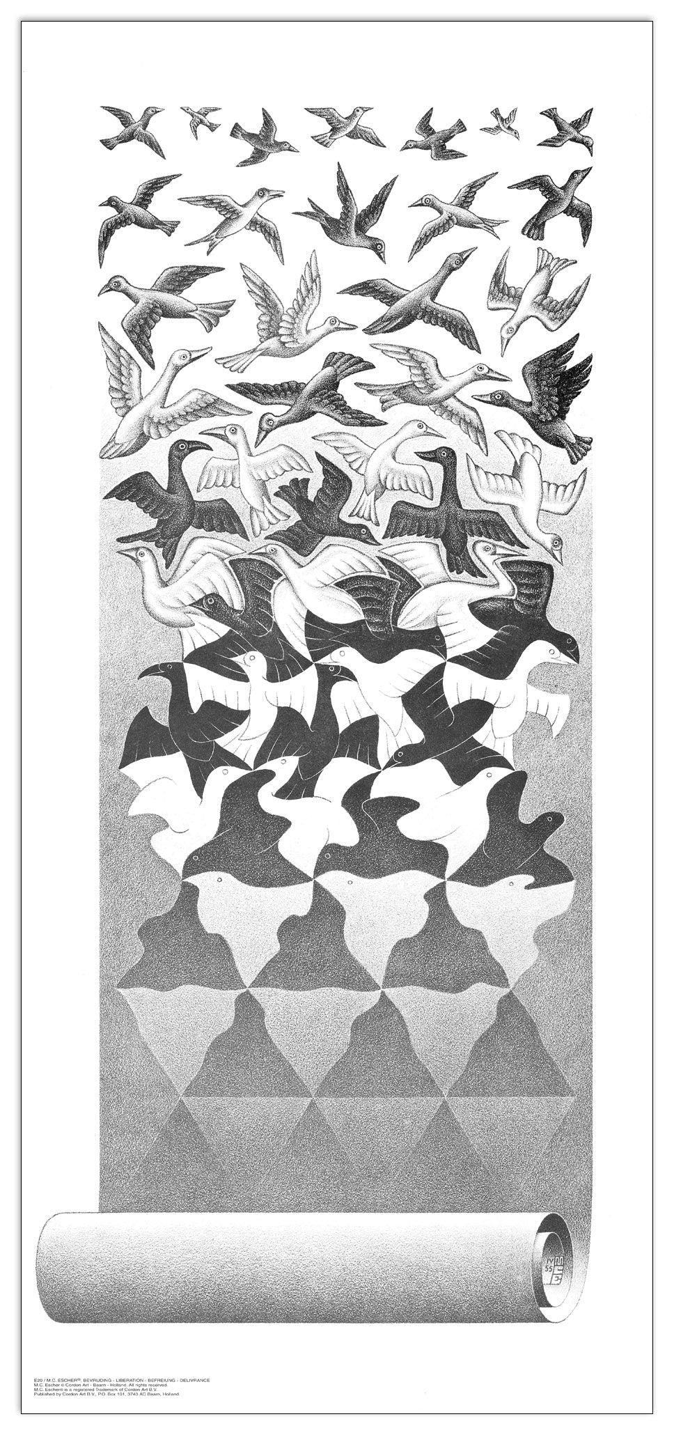Liberation cm 34x75