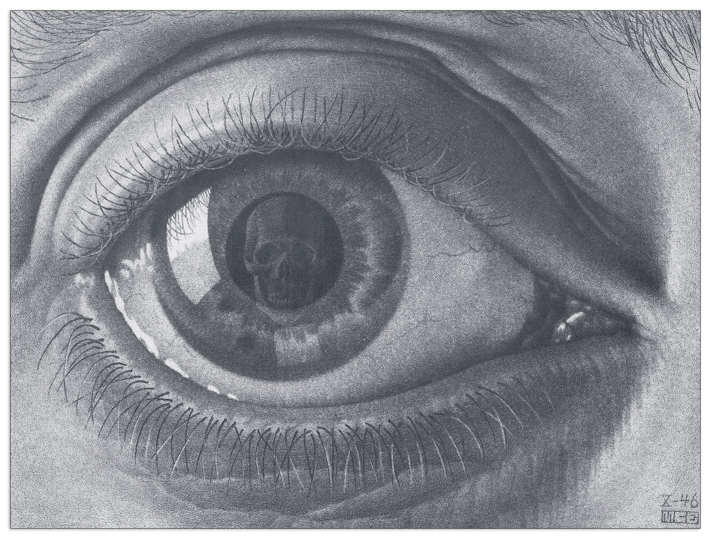 Eye cm 43x32