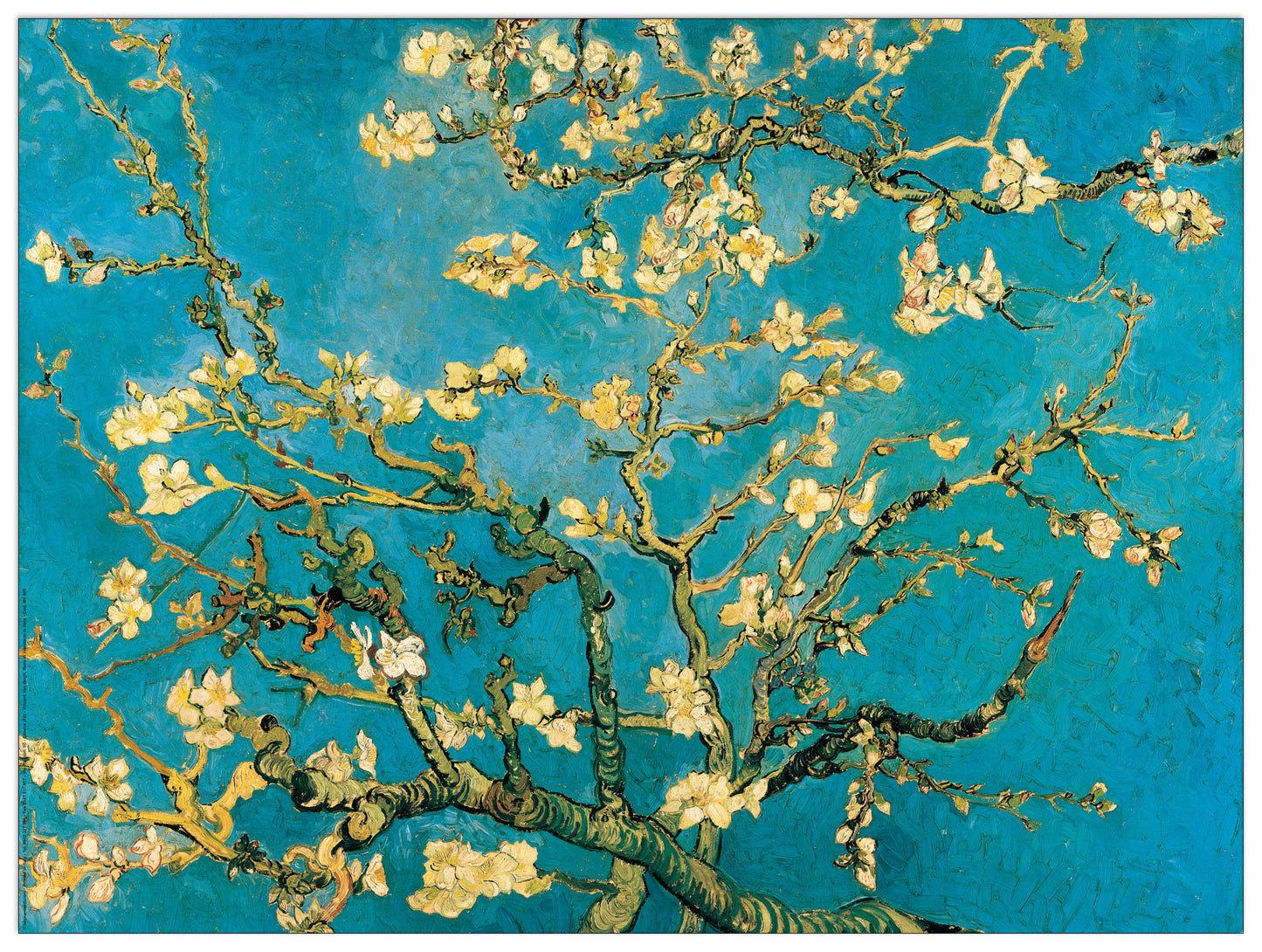 Mandorli In Fiore A San Remy cm 80x60