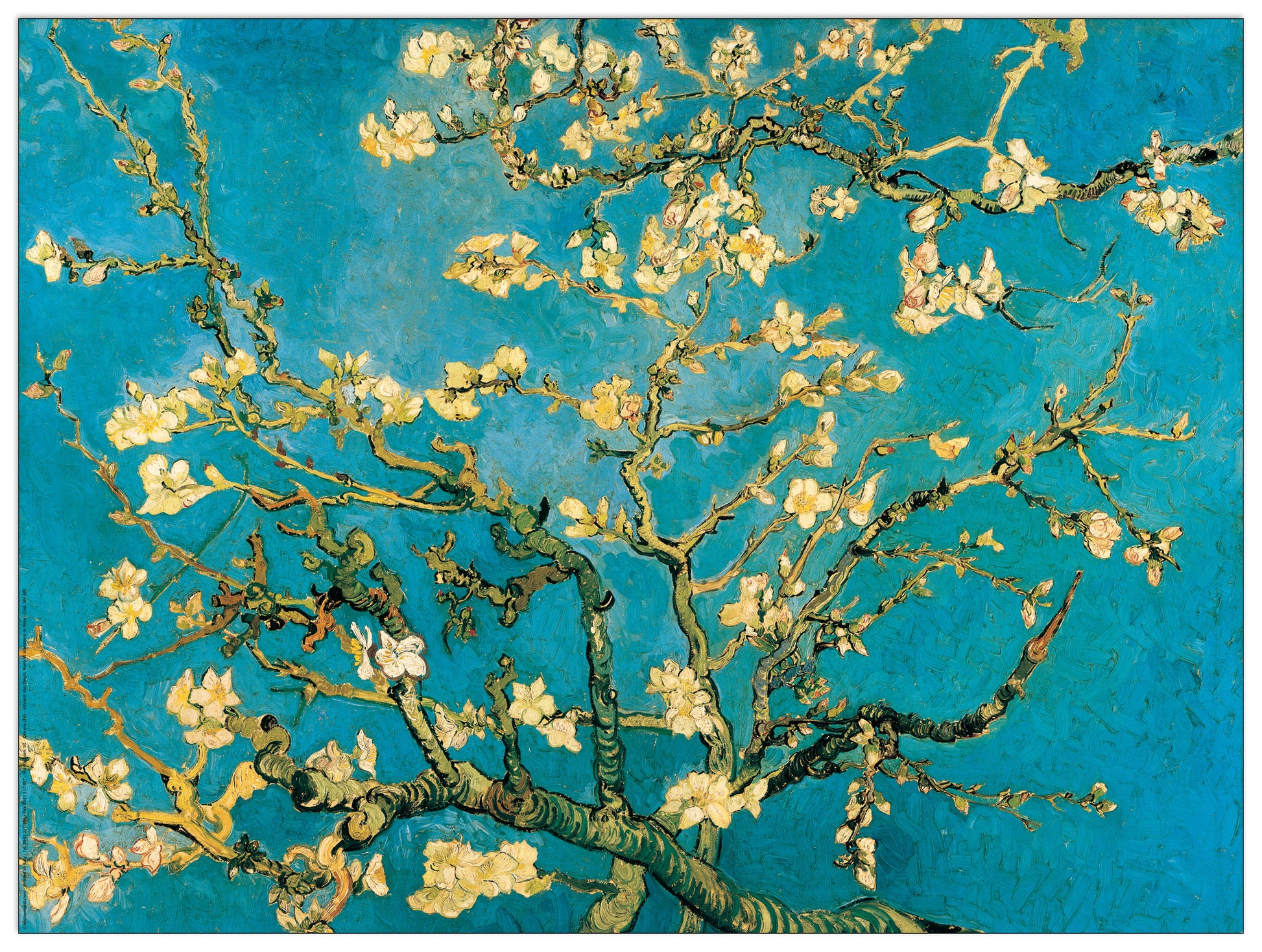 Mandorli In Fiore A San Remy cm 80x60