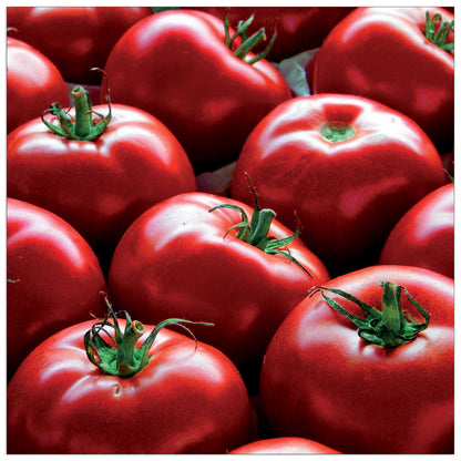 Pomodori cm 30x30
