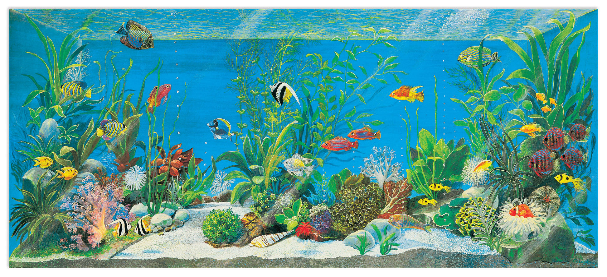 Acquario cm 138x61