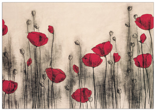 Red Poppies cm 65x46