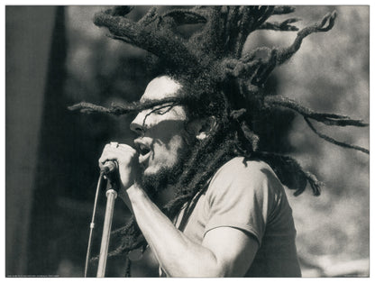 Bob Marley cm 80x60