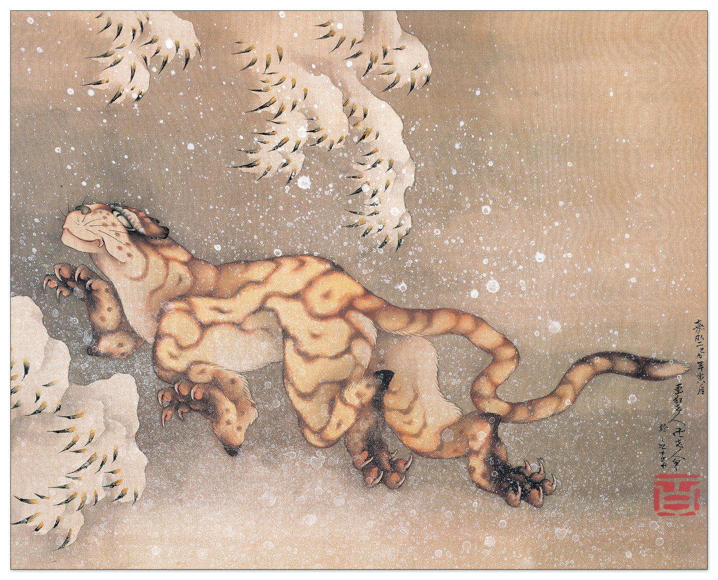 Older Tiger In The Snow cm 77x61