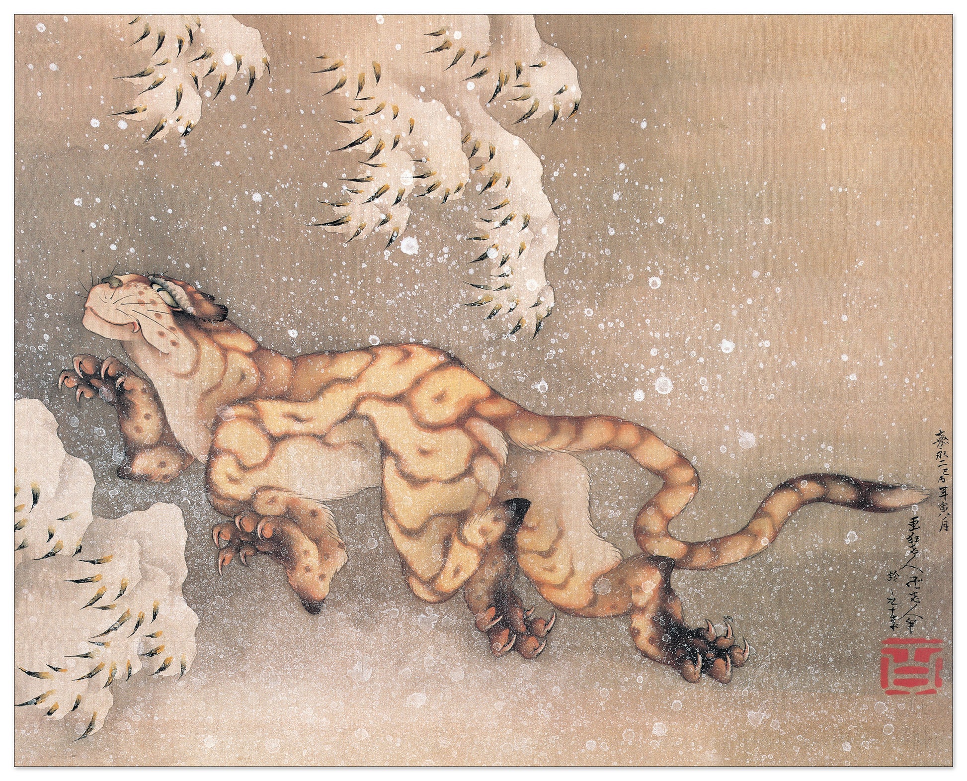 Older Tiger In The Snow cm 77x61