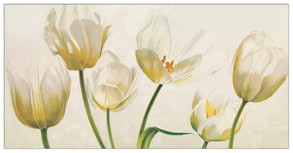 Soffio Di Luce cm 138x70