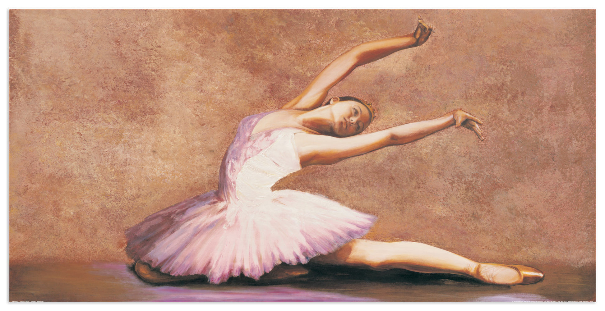 Swan Lake cm 100x50