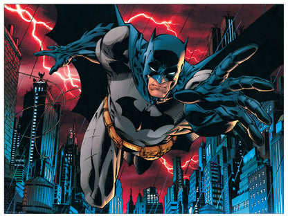 Batman Forever cm 80x60
