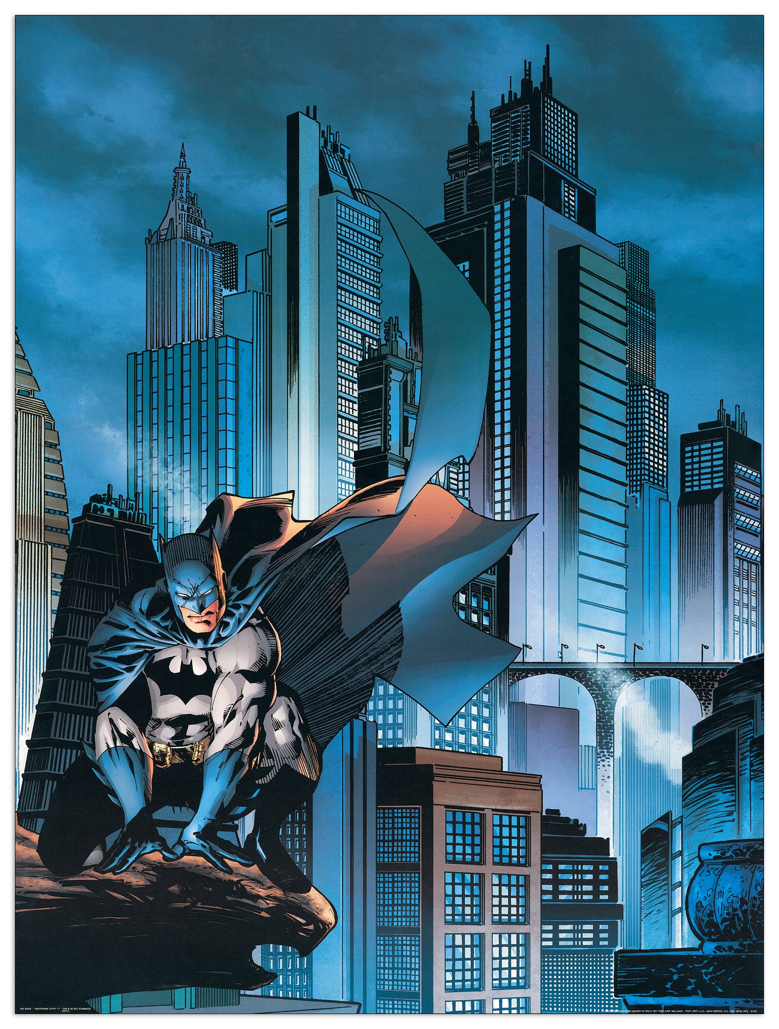 Gotham City 1 cm 60x80
