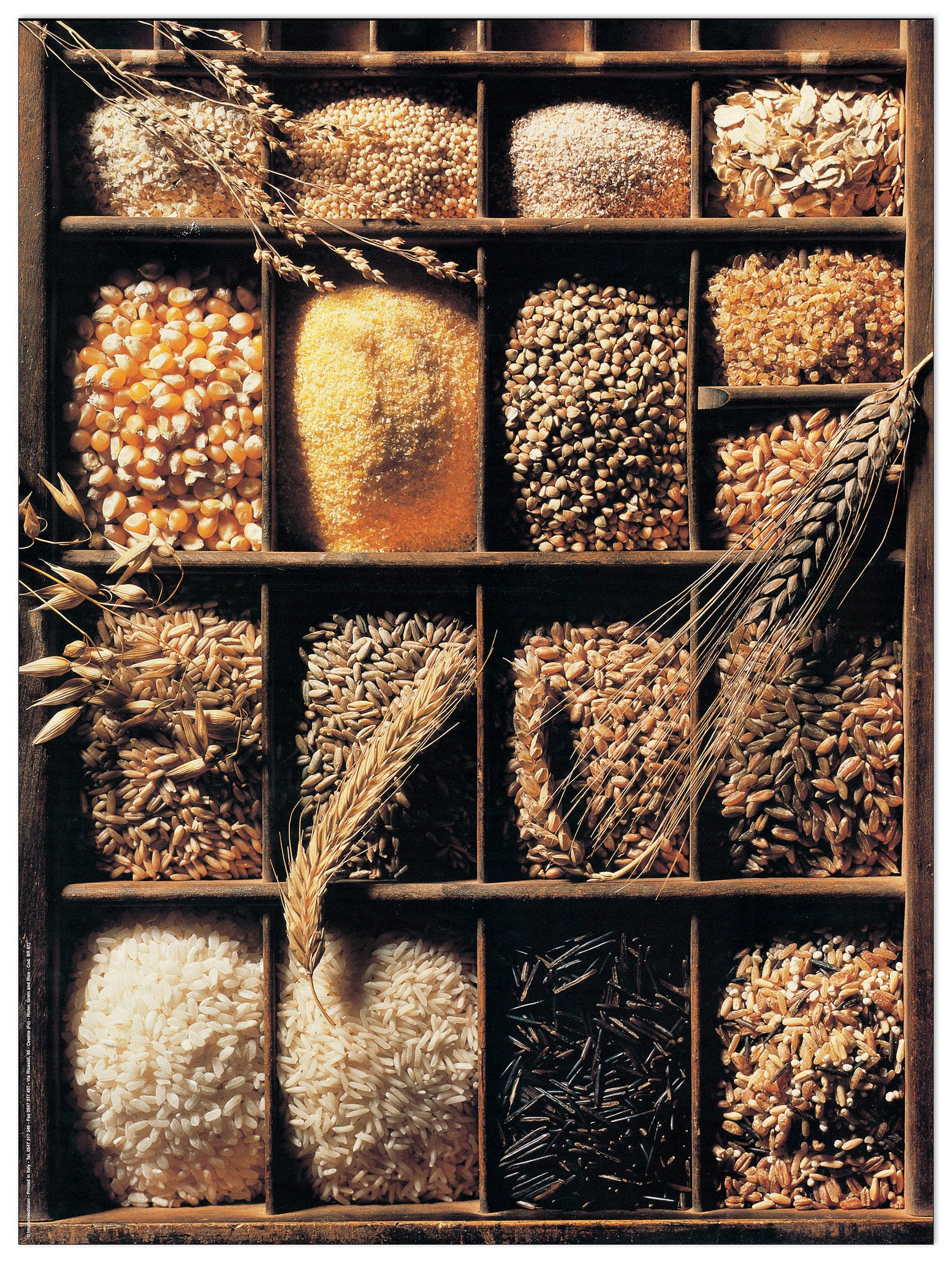 Cereali E Riso cm 60x80