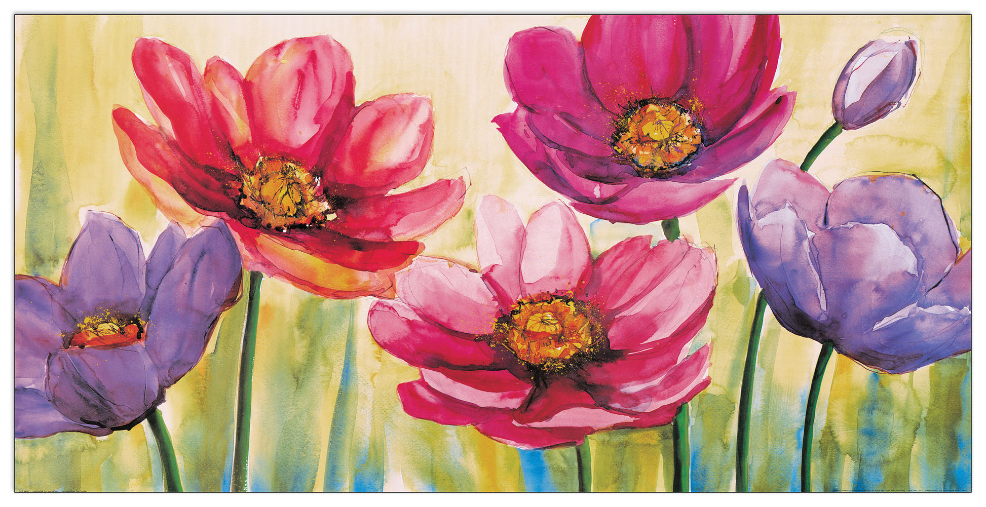 Fantasia Di Anemoni cm 100x50
