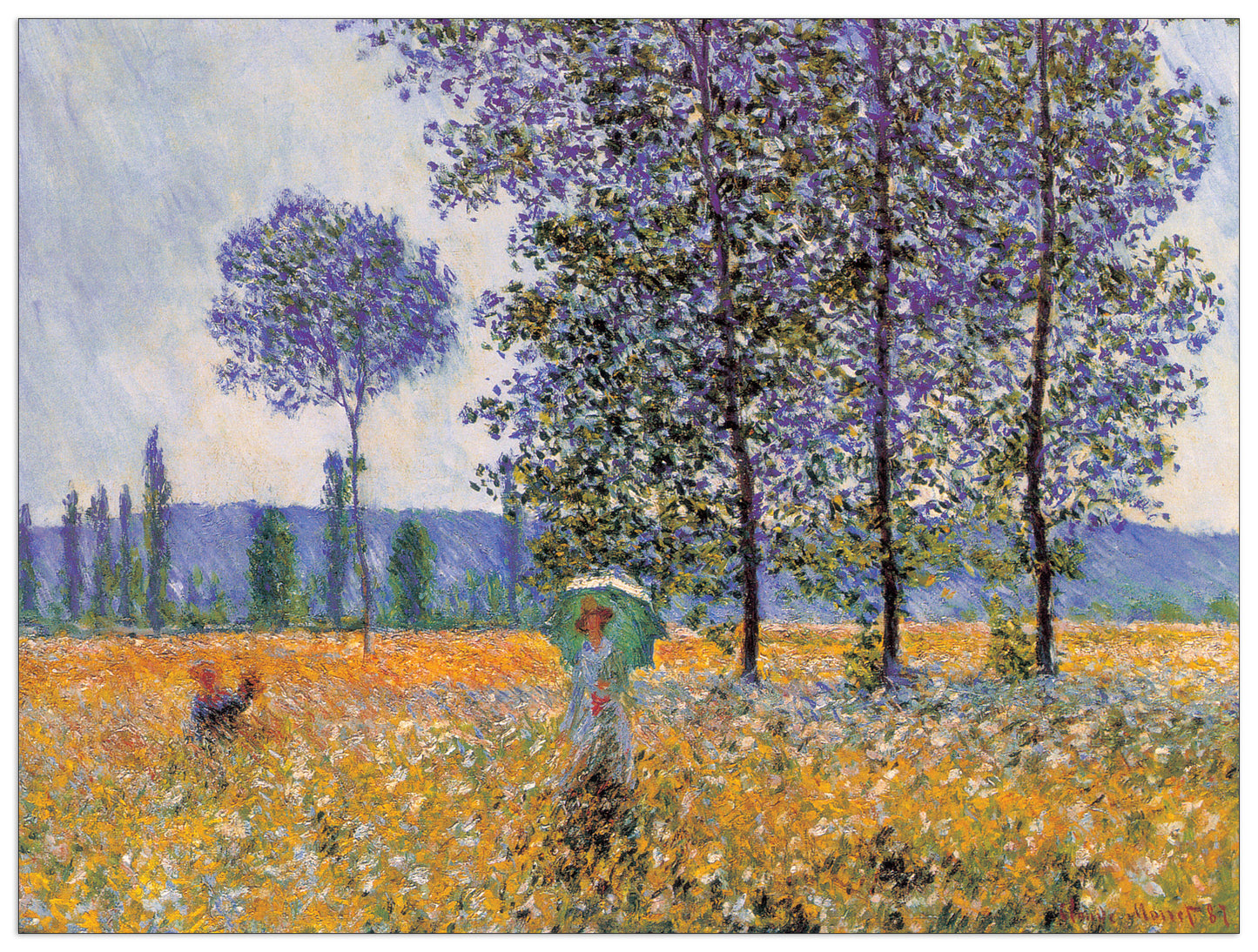 Felder In Fruehling cm 80x60