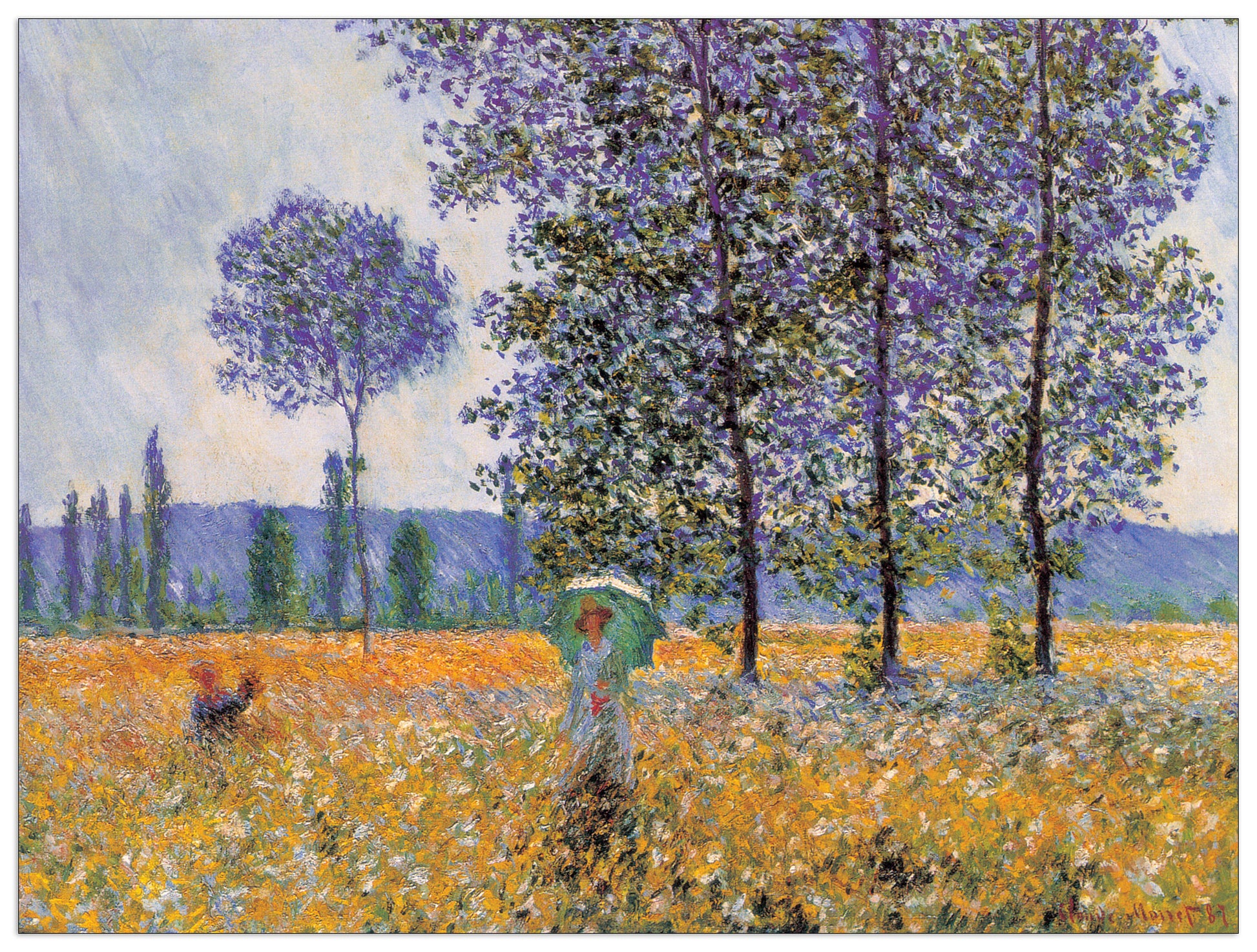 Felder In Fruehling cm 80x60
