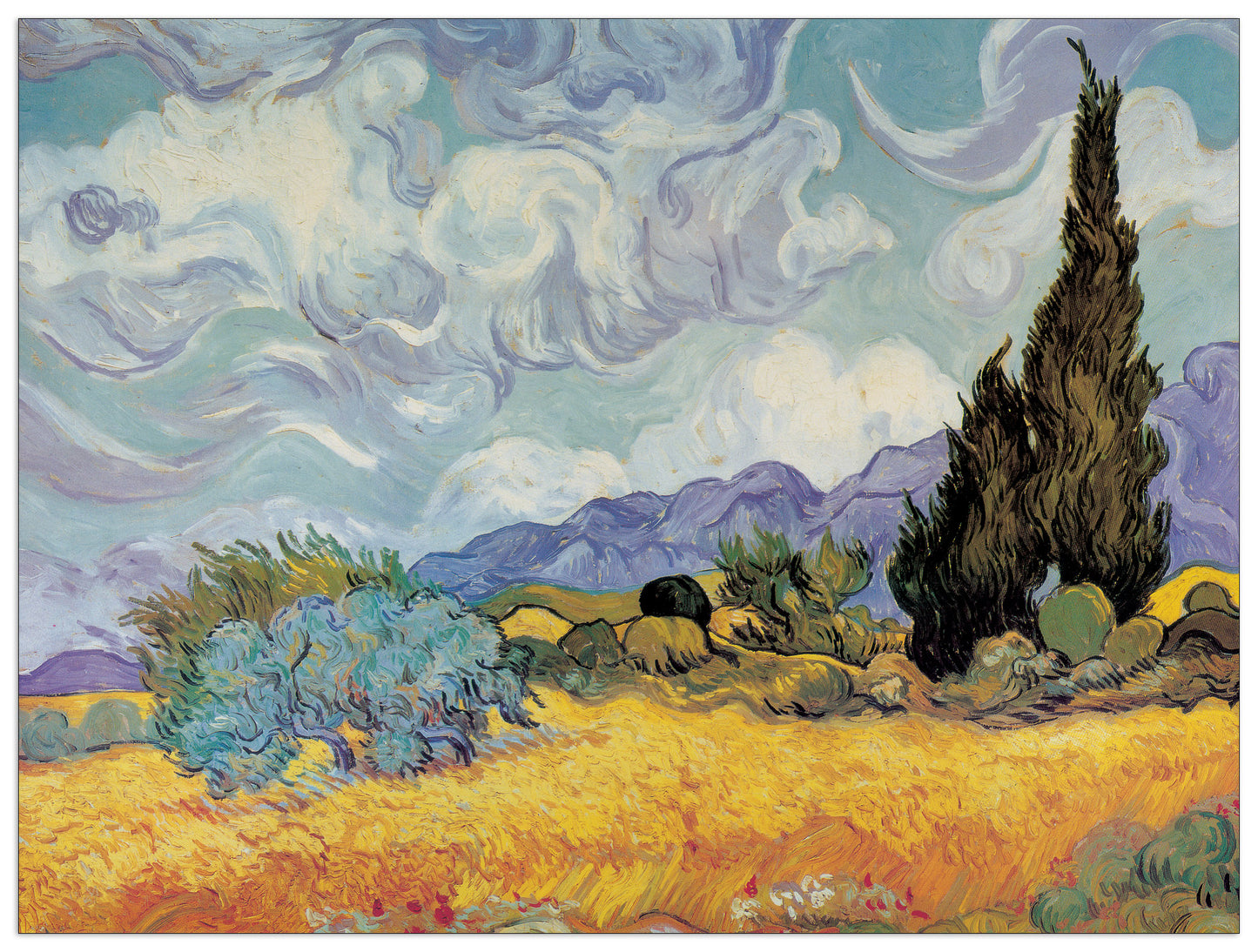 Cypress Trees cm 80x60