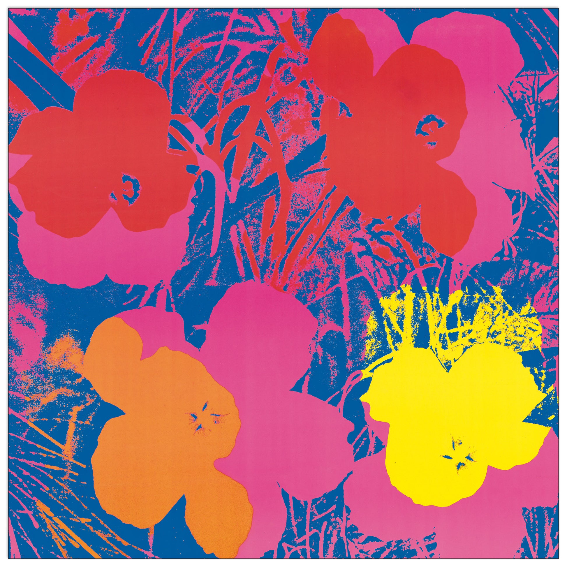 Flowers, 1970 cm 30x30