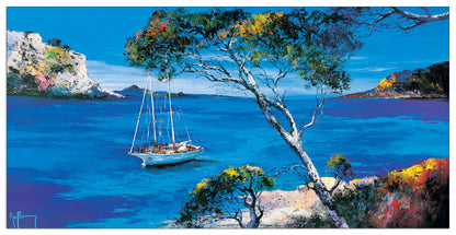 Le Voilier Blanc cm 100x50