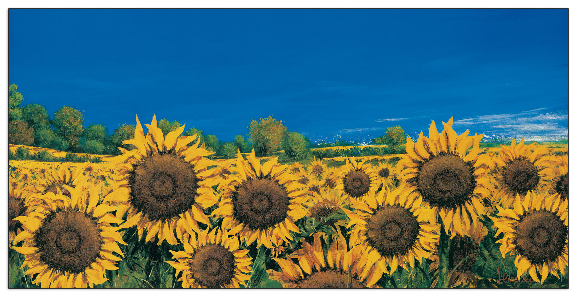 Campo Di Girasoli cm 100x50