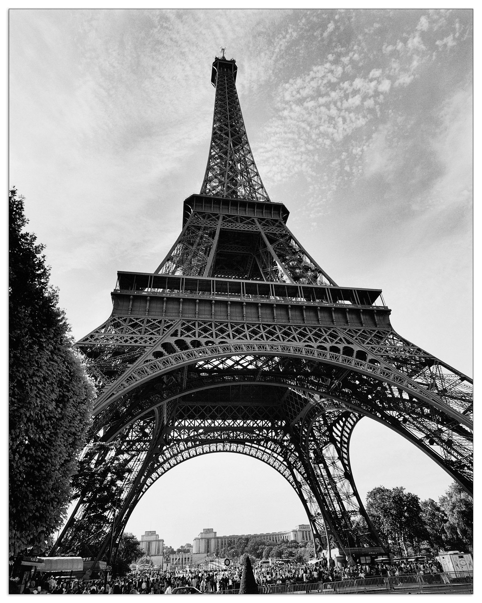 La Tour Eiffel Paris cm 50x63