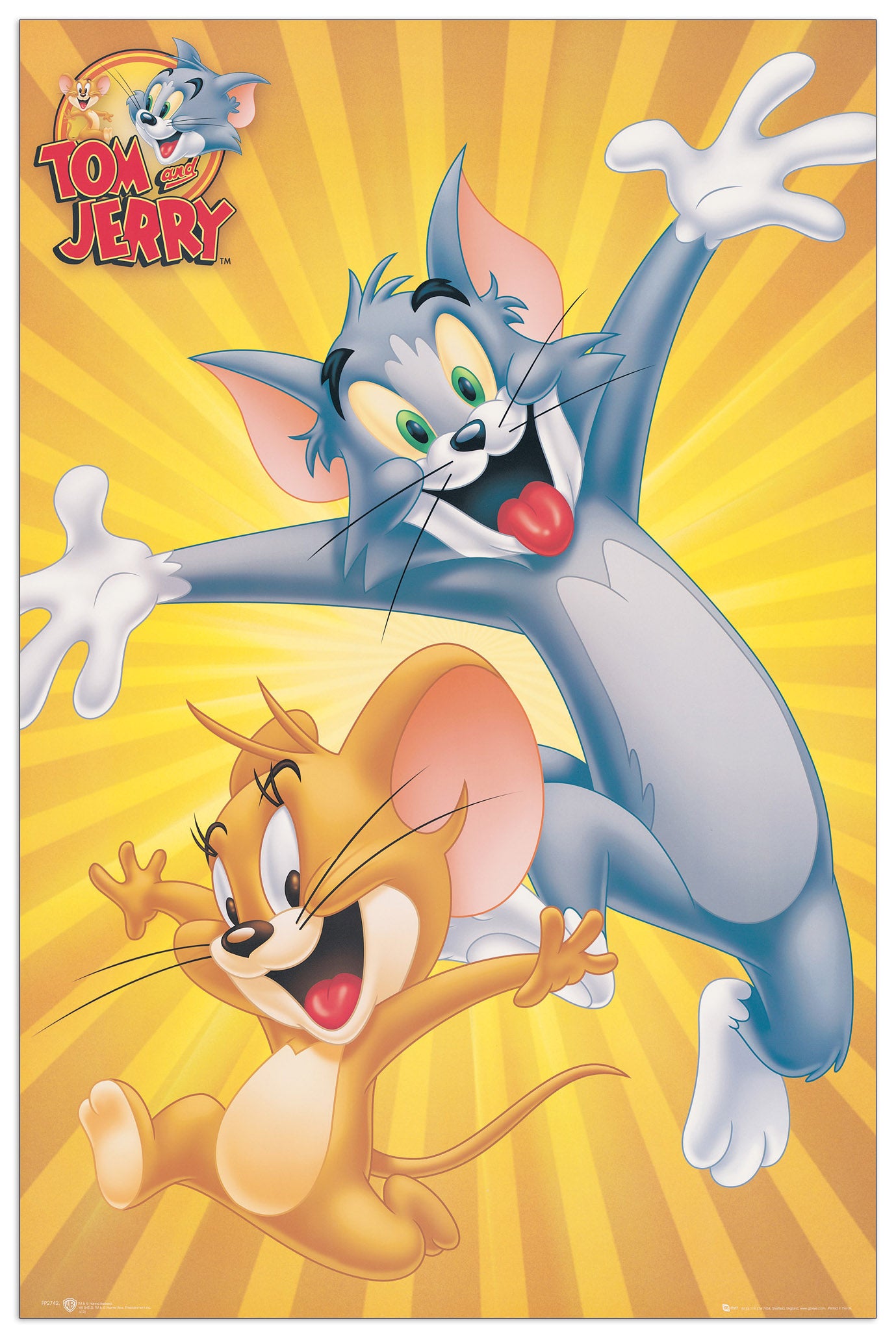 Tom And Jerry cm 60x90