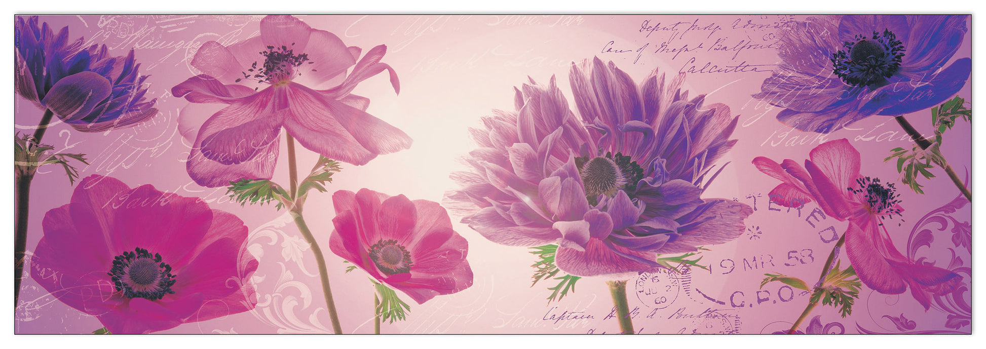 Flowers In Purple cm 90x30
