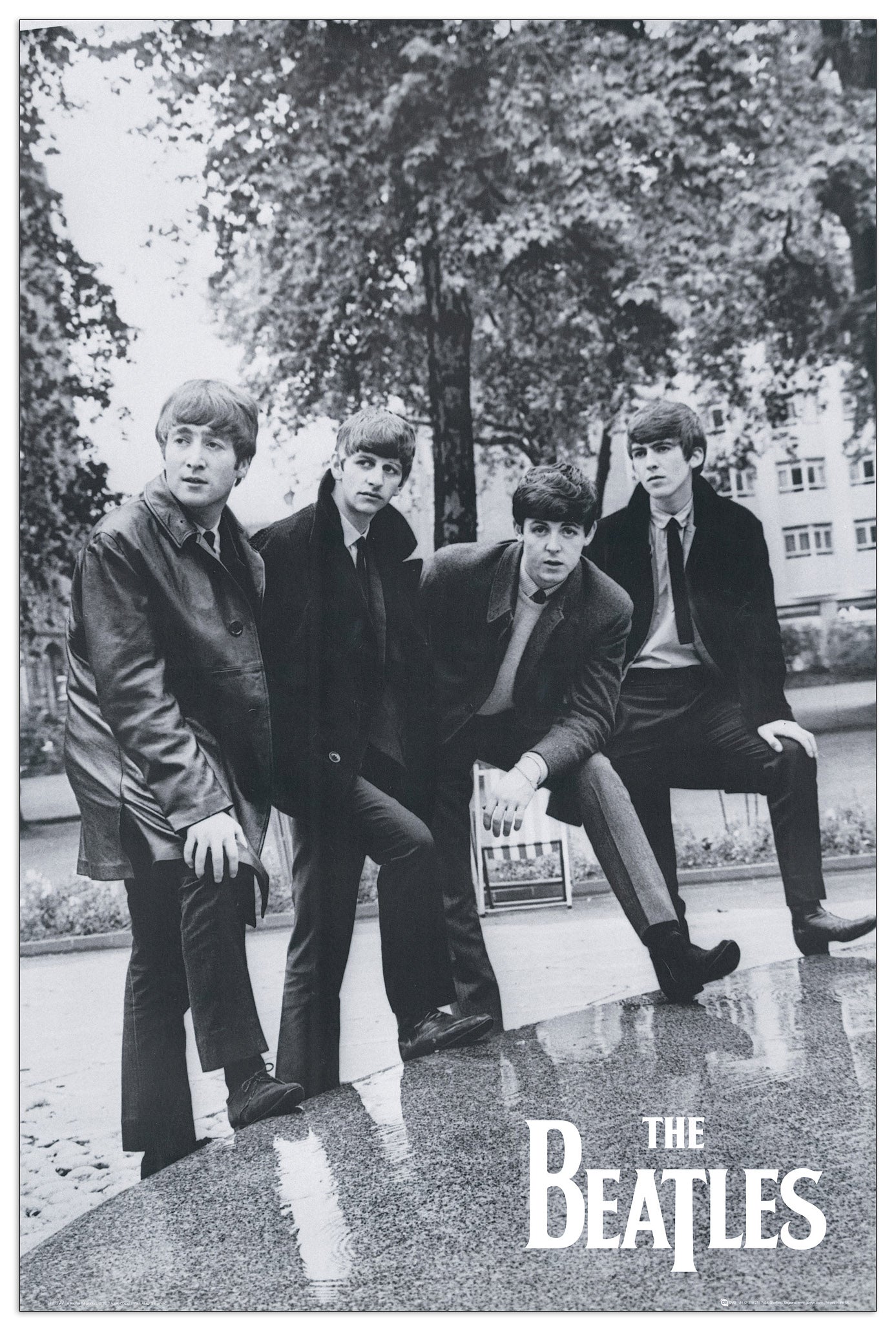 Beatles, Pose cm 60x90