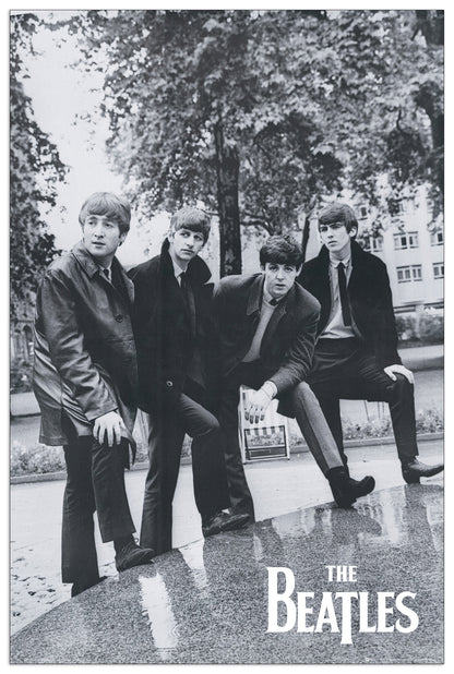 Beatles, Pose cm 60x90