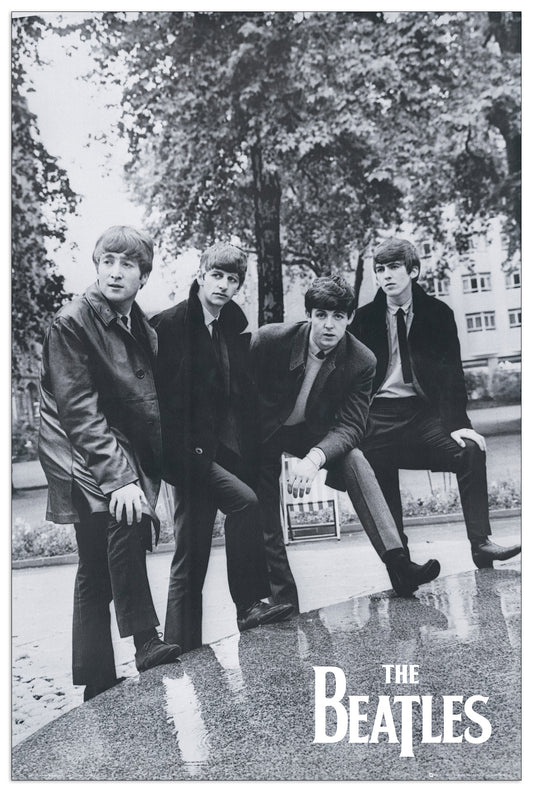 Beatles, Pose cm 60x90