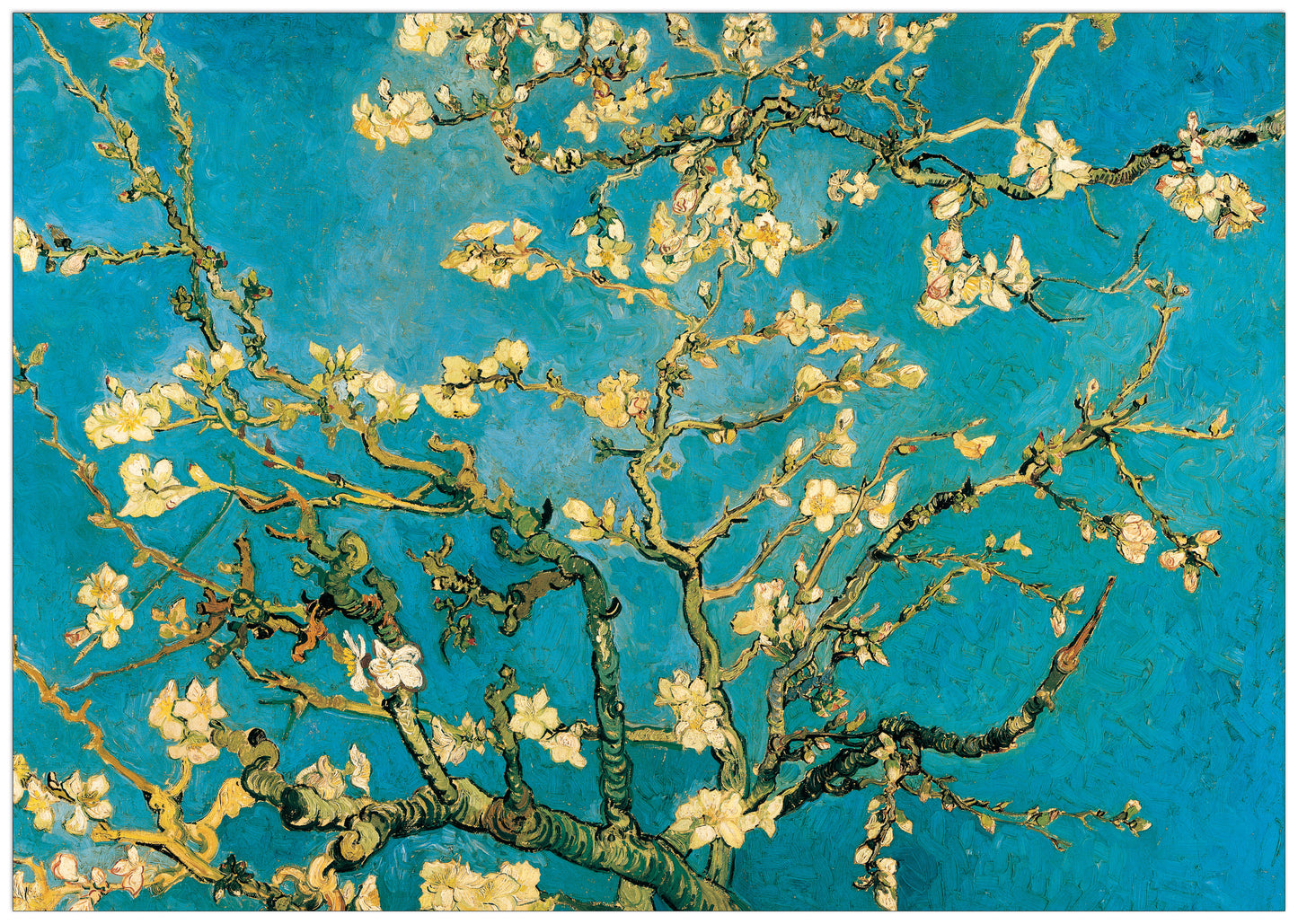 Mandorli In Fiore A San Remy cm 136x96
