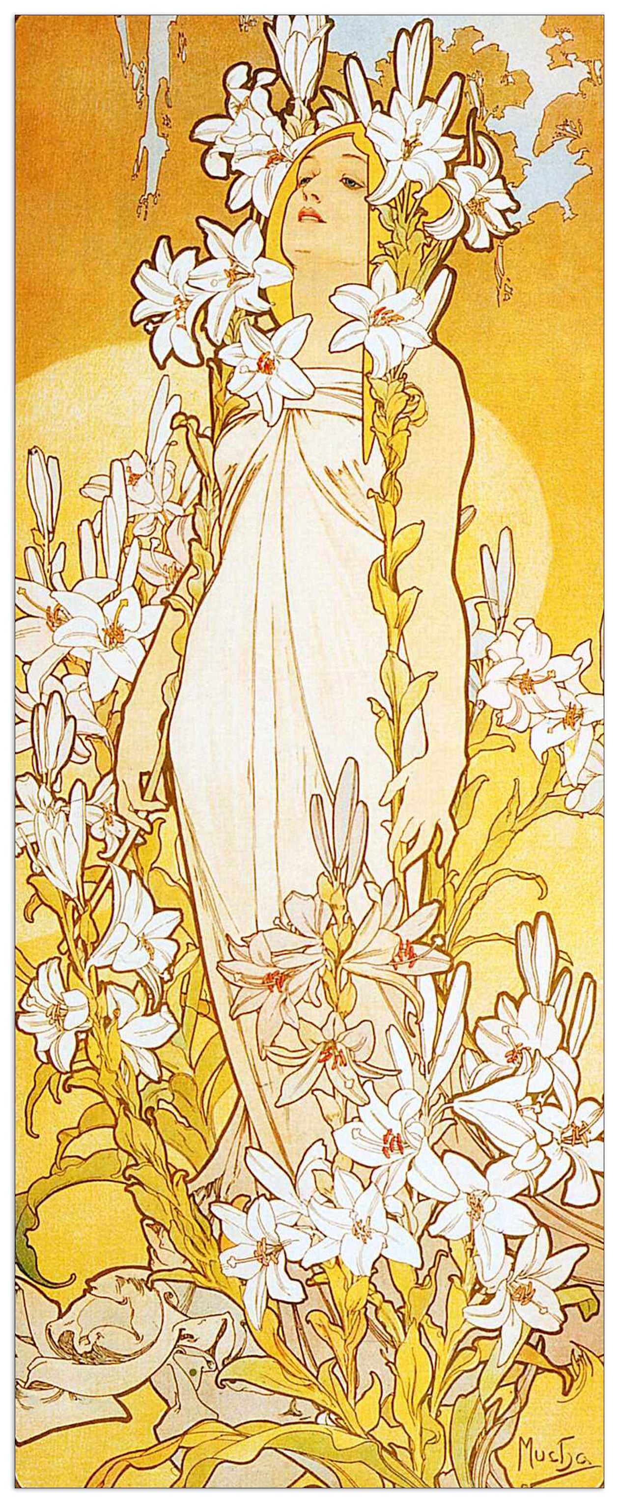 Lily cm 30x75
